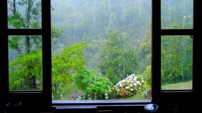 Janelas de Vidro em Campo Largo